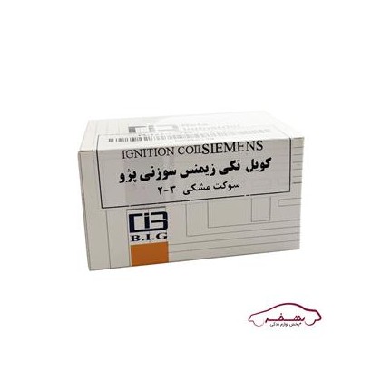 كوئل تكي زيمنس سوزني مشكي2-3 پژو 405 |بتا